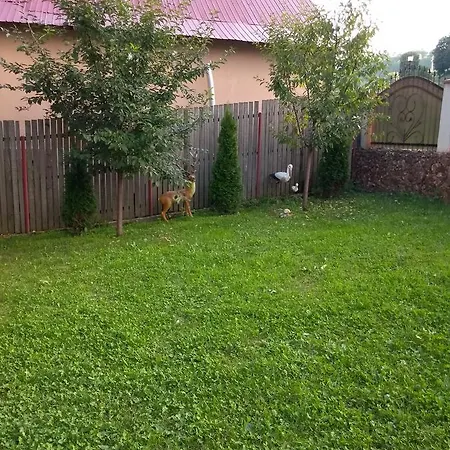 Homestay Popasul Drumetului Corbeni